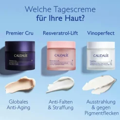 Anti-Pigmentflecken Creme mit Niacinamid & Viniferine