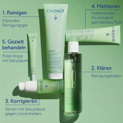 Ganzheitliche Anti-Unreinheiten-Routine