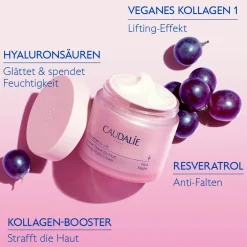 Kräuter-Nachtcreme - Nachfüllpack
