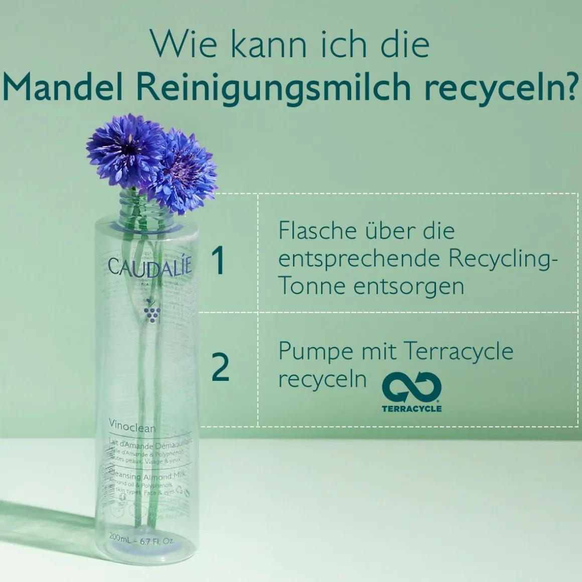 Mandel Reinigungsmilch