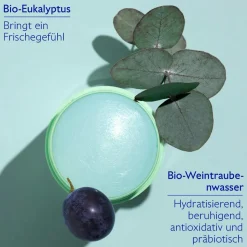 Vinofresh Natürliches Stick Deodorant